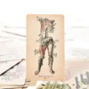 The Antique Anatomy Tarot Cards English Version 4