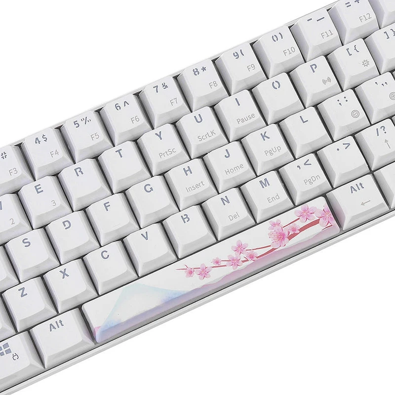 PBT Space Keycaps механическая клавиатура DIY Keycap(6.25U Space Keycap)-Fuji Cherry