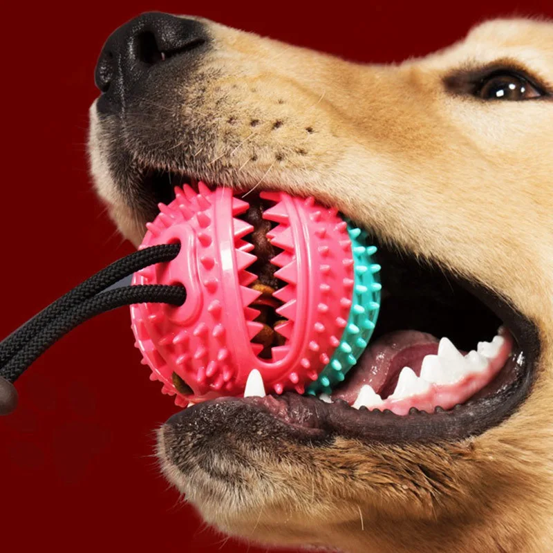 

Pet Dog Toys Funny Interactive Elasticity Ball Rubber Ball With Leak Food Function Interactive Dog Chew Toy With Bell new