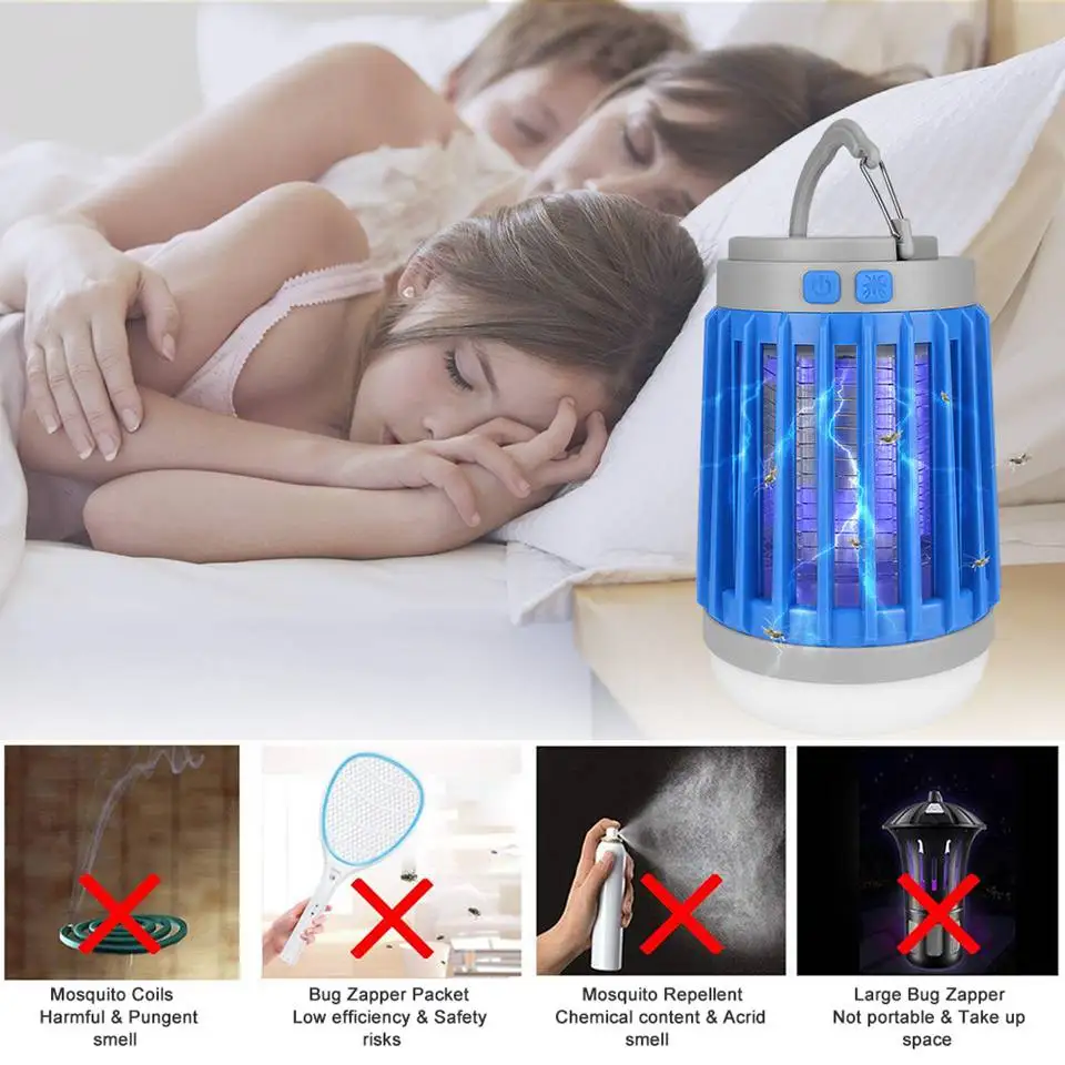 11385251081_546764240