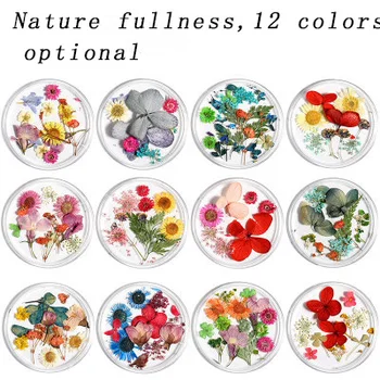 

Mix Dried Flowers Nail Decorations Jewelry Natural Floral Leaf Stickers 3D Nail Art Designs Polish Manicure Accessories makeup