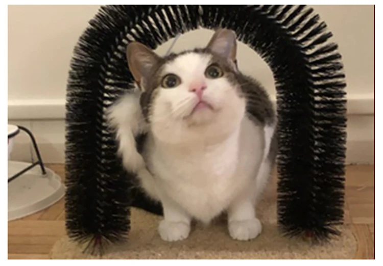 8875836338_973676538