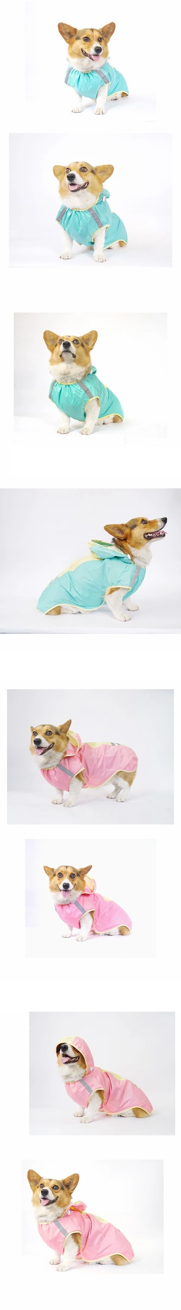 微信图片_20200528101005_副本