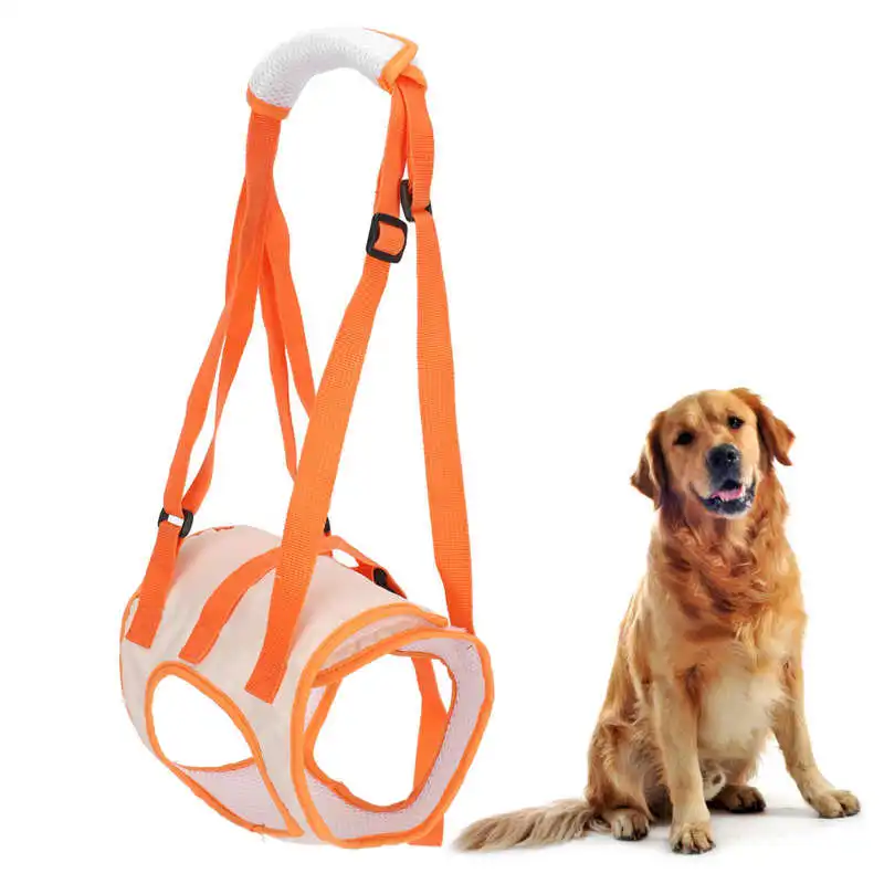 Pet Leg Straps Walking Bracket Mesh Pet Dog Lift Harness Rear Leg