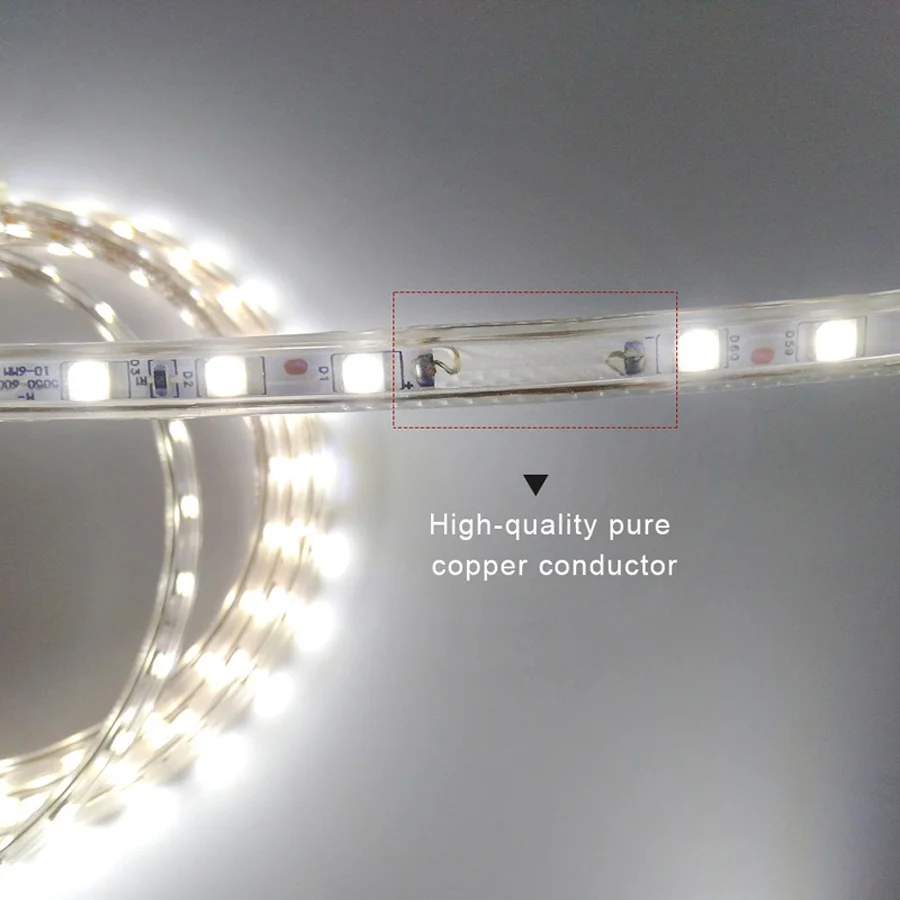 SMD 5050 AC220V LED Strip Flexible Light 60ledsm Waterproof Led Tape LED Light With Power Plug 1M2M3M5M6M8M9M10M15M20M (3)