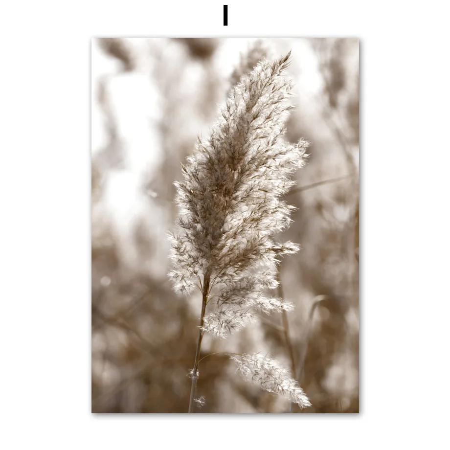 Grains-of-Sand-Arches-Grass-Reed-Palm-Cactus-Giraffe-Nordic-Poster-Wall-Art-Print-Canvas-Painting (11)