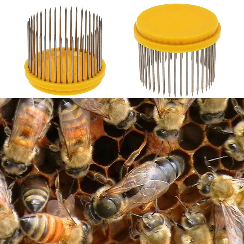 3Pcs Beekeeping Queen Needle Type Bee Cage Stainless Steel Catching Catcher Equipment
