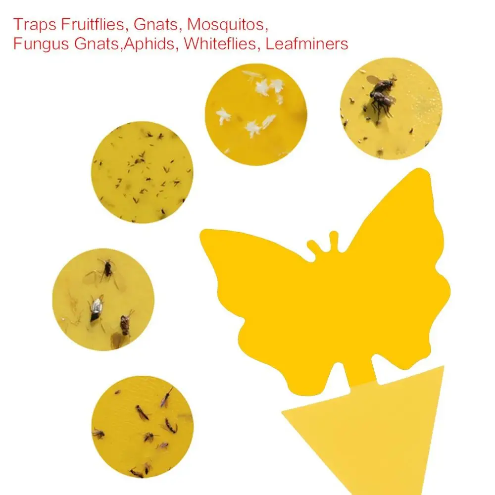 Flie Traps Bugs липкая доска двухсторонние липкие ловушки летающие растения Ловца