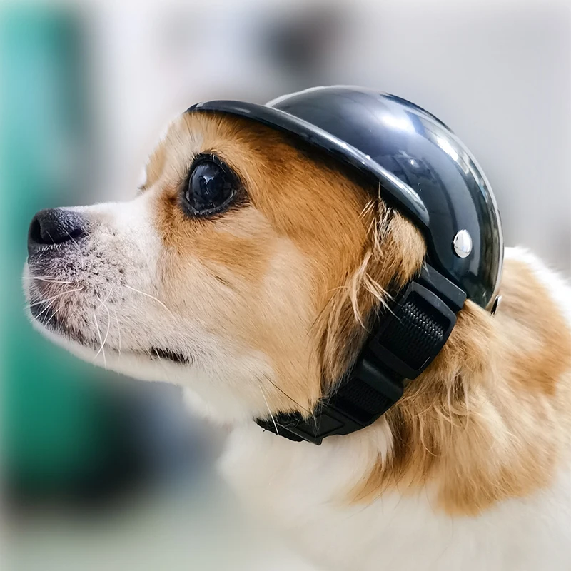 Casco per cani da compagnia tuta di sicurezza caschi per cani da moto con  occhiali da sole Cool Fashion Pet Dogs Hat Helmet cappellino da equitazione  in plastica per animali domestici -