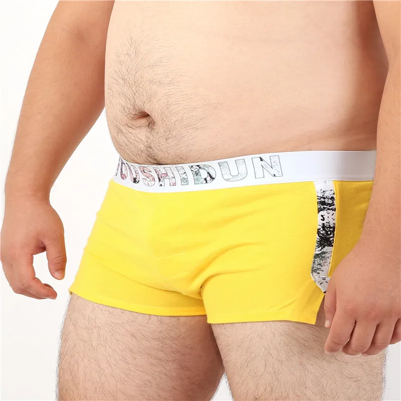 5 PCS/LOT New Arrivals Male Cute Underwear Men's Fashion Boxers Cotton Underpants Arrow Pants Shorts 8 Colors M L XL XXL XXXL 4