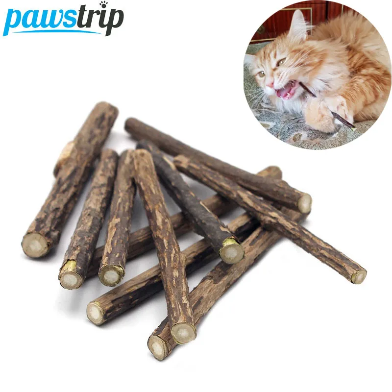 10/15/20pcs/lot Natural Matatabi Pet Cat Snacks Sticks Cleaning Tooth Catnip Cat Toys