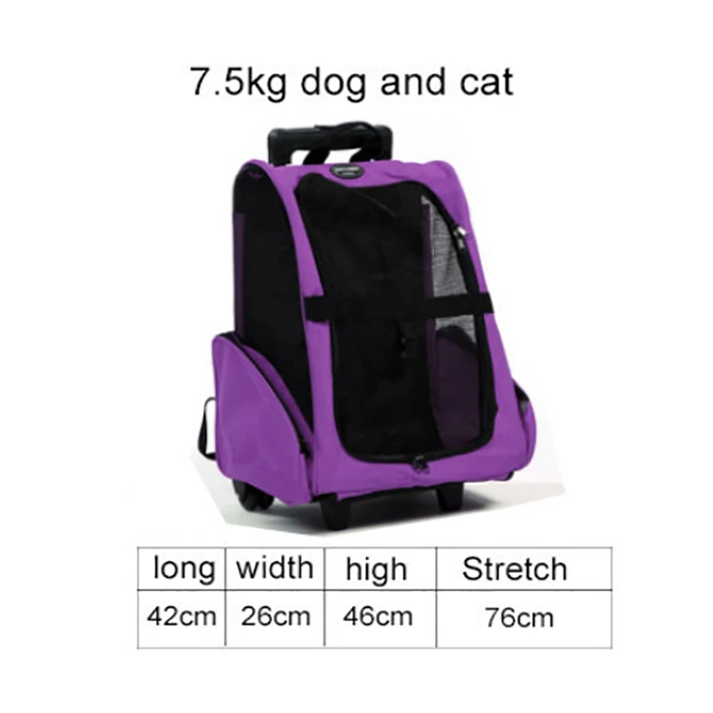 Small purple