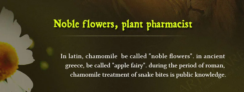 chamomile_03