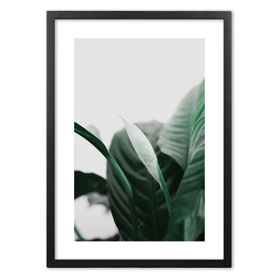 

Dark Green Leaves Plant Quotes Nordic Posters And Prints Wall Art Paper Painting Wall Pictures For Living Room Home Decor