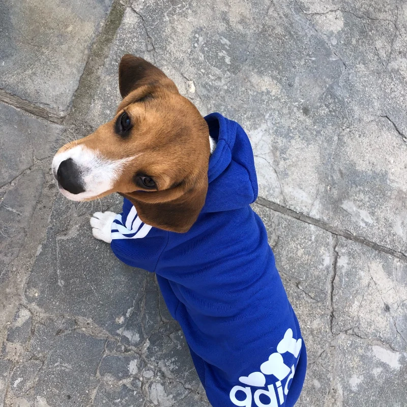 Adidog Clothes Pet Dog for Small Medium Dogs Cotton Hooded Sweatshirt Spring Autumn Winter Warm Two-Legged Jacket | Дом и сад