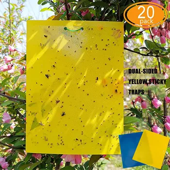 

20 PC Dual-Sided Yellow Sticky Traps Sheets for Capture Insects Like Flies Gnats Strong Flies Traps Bugs Sticky Board Glue