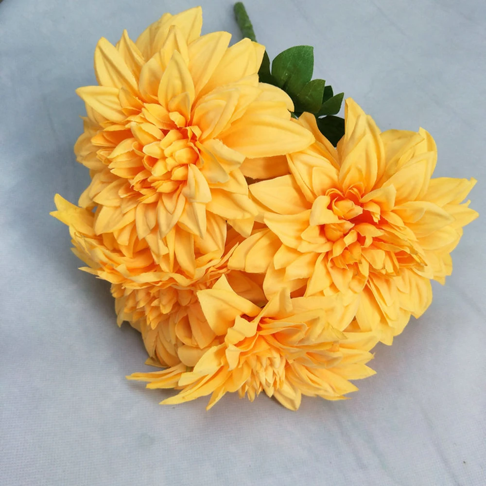 YYPA0057-YYPA0062-C8