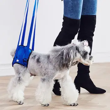 

Dog Aid Assist Tool Adjustable Lift Harness for Back Leg Pet Support Sling Leash
