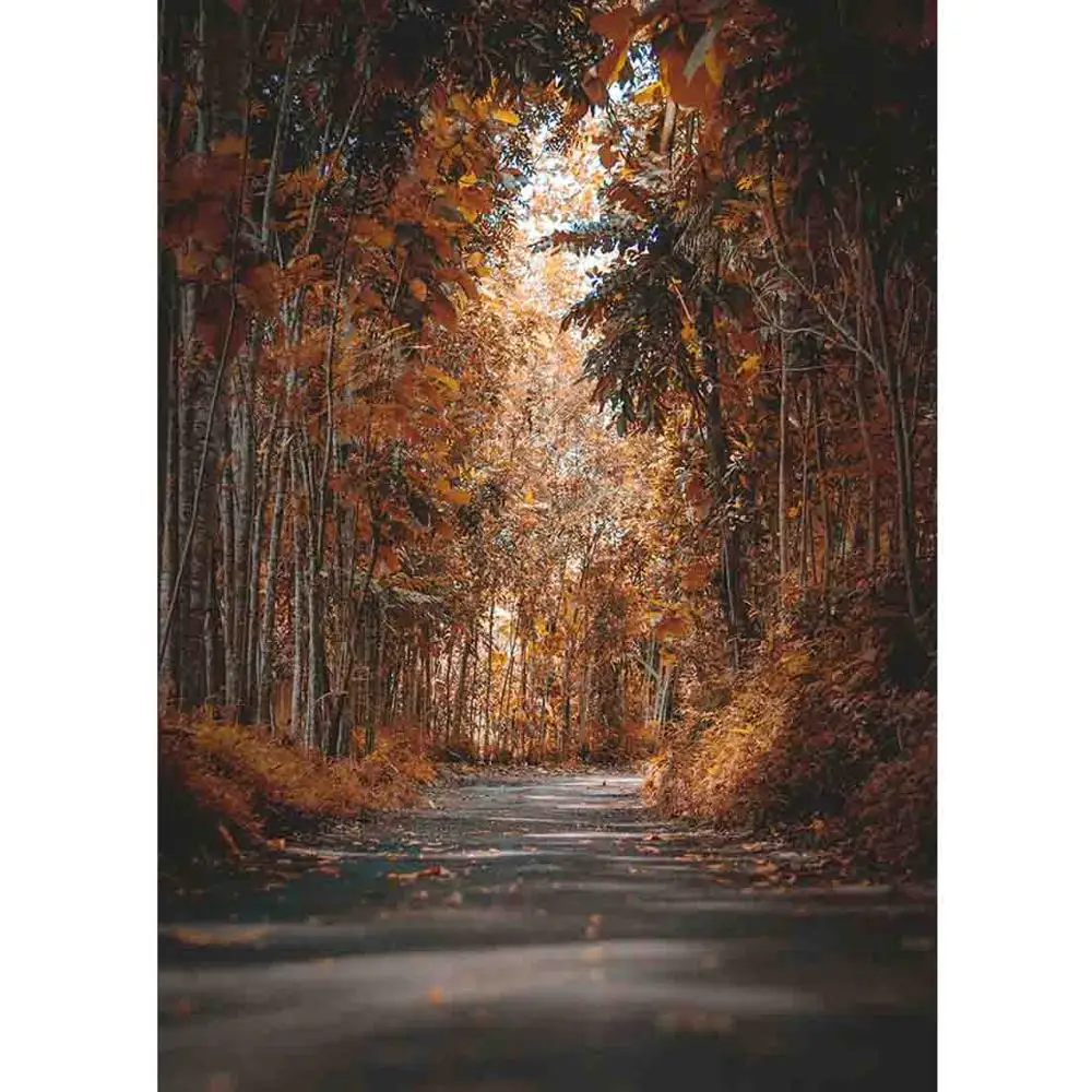 

SHUOZHIKE Vinyl Custom Photography Prop Scenery theme Photo Studio Background NY-03