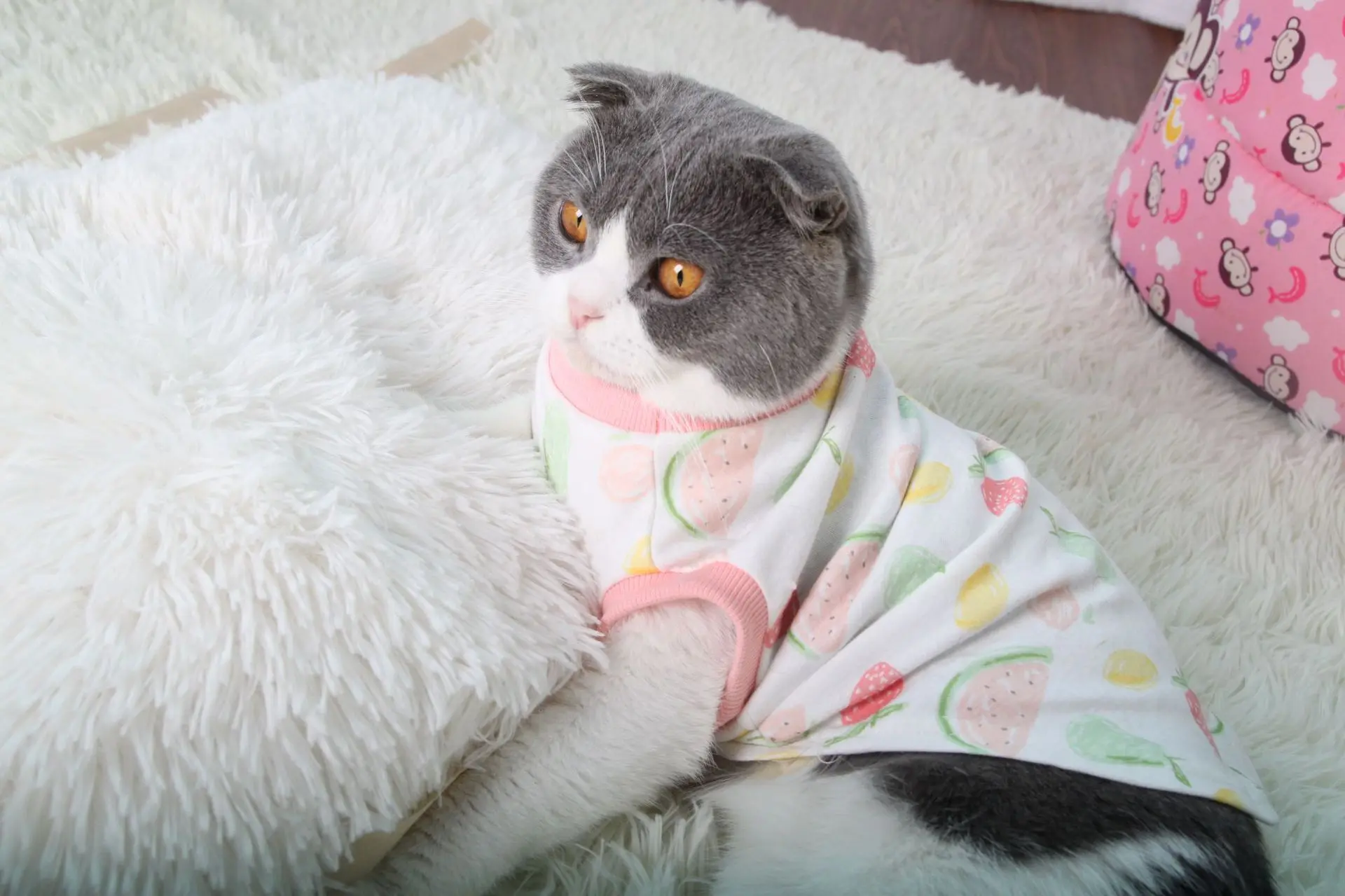 Хлопковая одежда для домашних животных, котов для кошек, летняя майка, футболка, одежда для собак и кошек, костюм для маленьких собак с рисунком