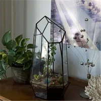 Geometric Irregular Glass Terrariums Tabletop Miniature Garden Vase Quartz Shape Solder Green House Plant  Home Decorating 1