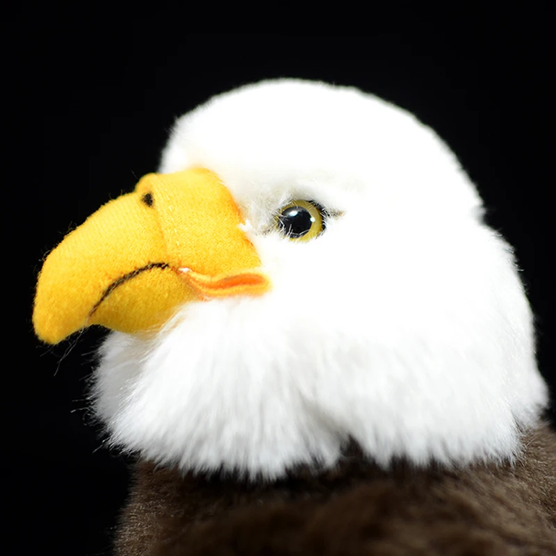 92-0801-6