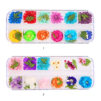 

12 Pcs/box Dried Flowers Epoxy Sheet UV Decoration Resin Silicone Mold DIY Jewelry Filler Beauty Nail Accessory T4MD
