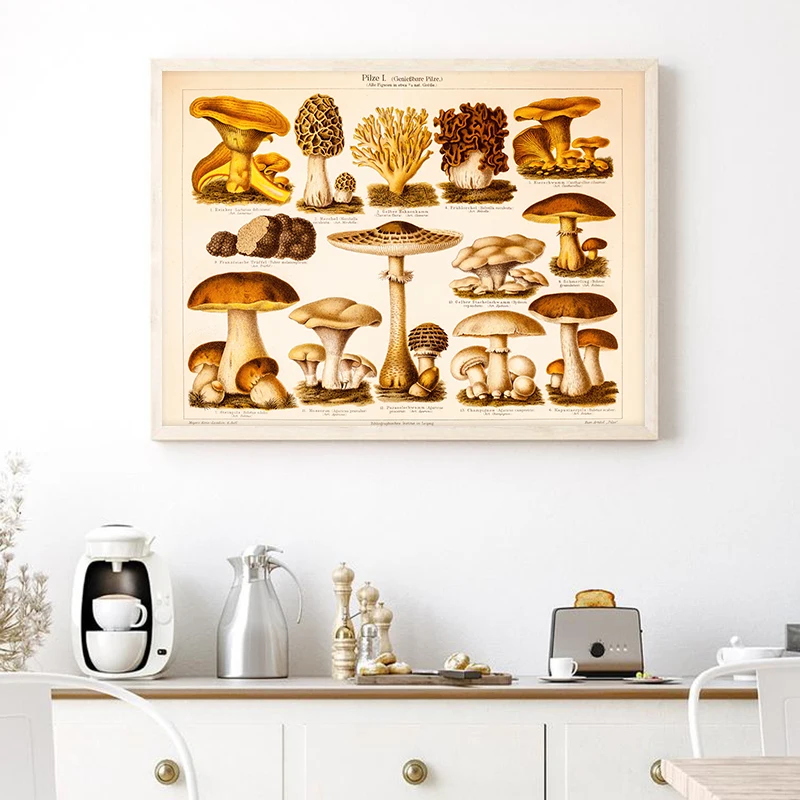 3 Vintage Pilz Poster – 30x40 Cm, Leinwand-Drucke Für Wohnzimmer, Schlafzimmer & Deko