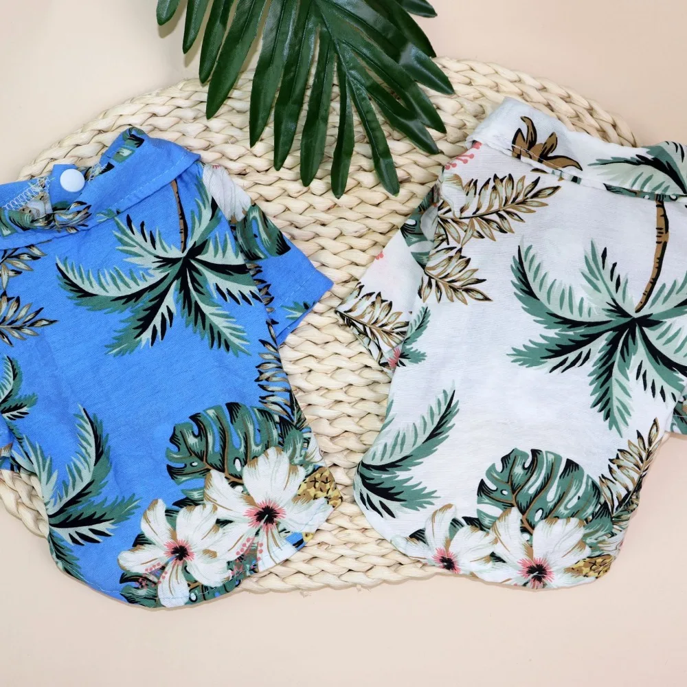 IMG_8347(20200420-205548)