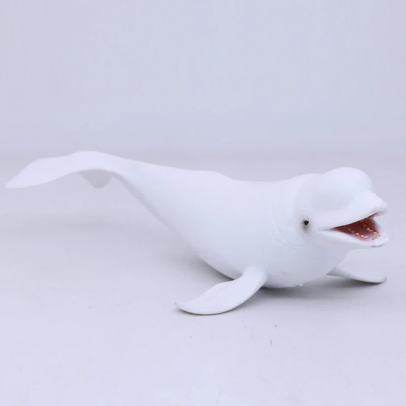 

CollectA Wild Life Животные океан Белуга Кит Белый Кит пластиковая игрушка модель #88568