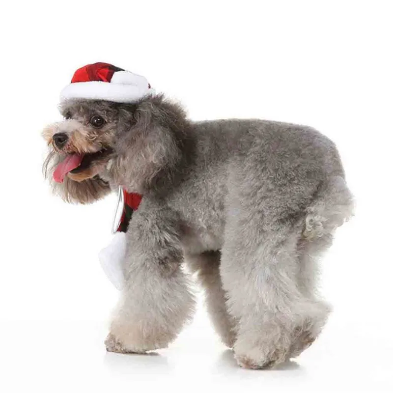 HQJ91023575_0209530271719347401