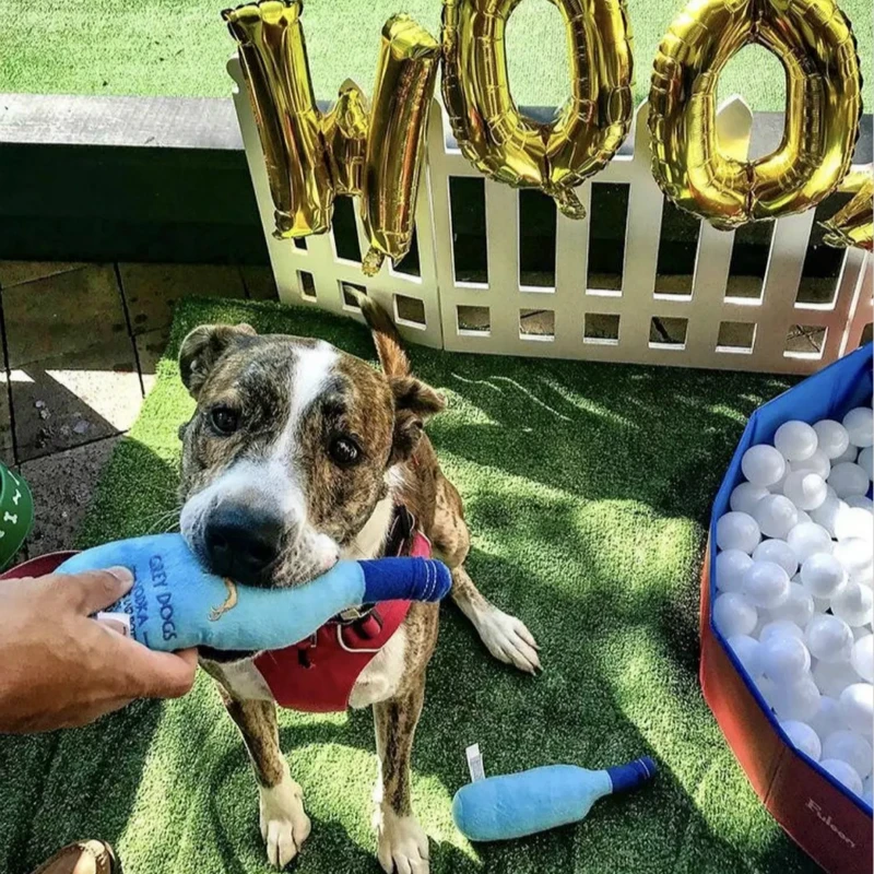 Роскошная игрушка для домашних животных, вышивка, забавные игрушки для собак, пулш, звуковые шарики, французская леди, стильная пищащая игрушка, креативный плюшевый щенок, винный парфюм, игрушка