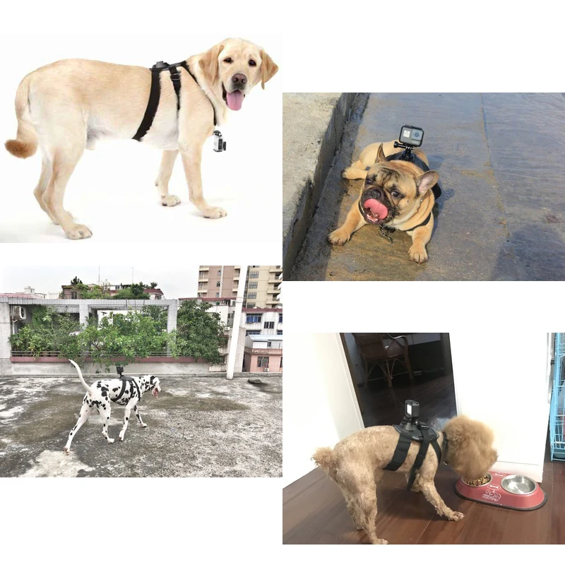 Регулируемый Собачий ремешок для Gopro hero 8 7 6 5 4, нагрудный ремень для собак, спортивный держатель для камеры SJCAM для Xiaoyi