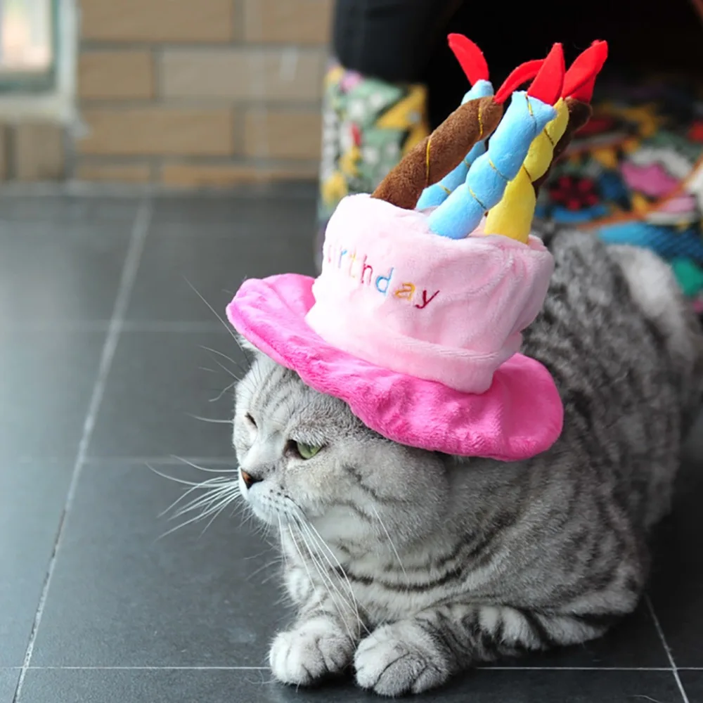 Pet Birthday Hat For Cats And Dogs Puppy Cake Cap With Candles Super Cashmere Fabric Pink (8)