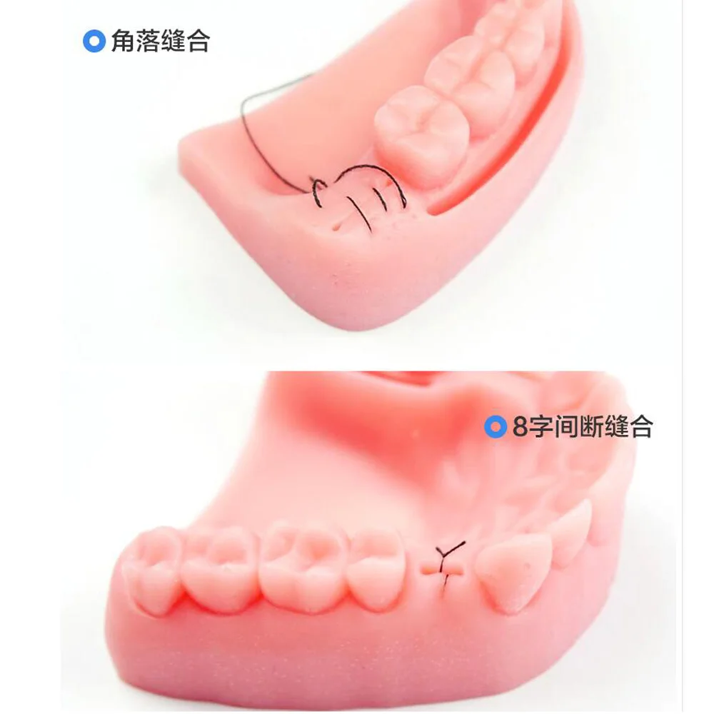 Зубные полости рта жевательной шов тренировочная Модель зуб ортодонтический медицинский силиконовый Пародонтит шва стоматологический инструмент