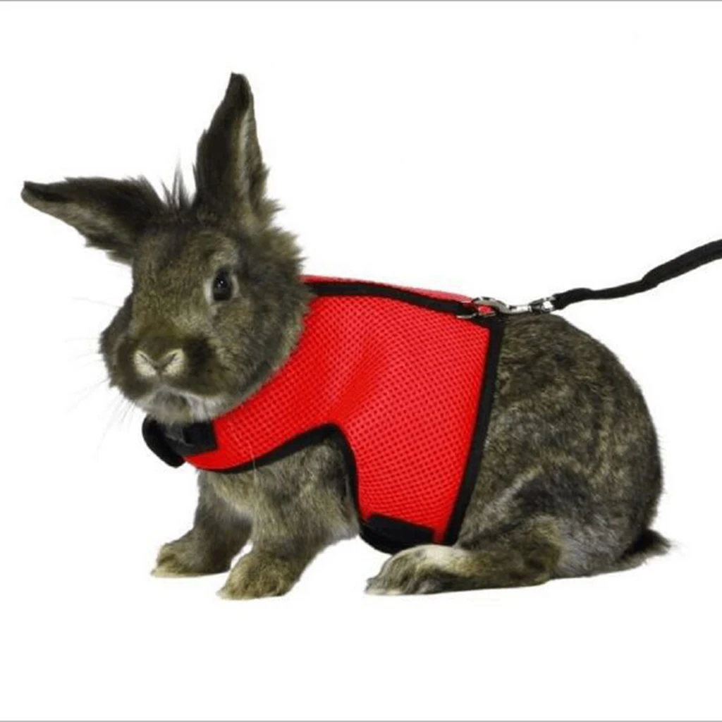 Size 0.8x1.2cm Small Pet Rabbit Rope Hamster Harness Outdoor Rabbit Leash 