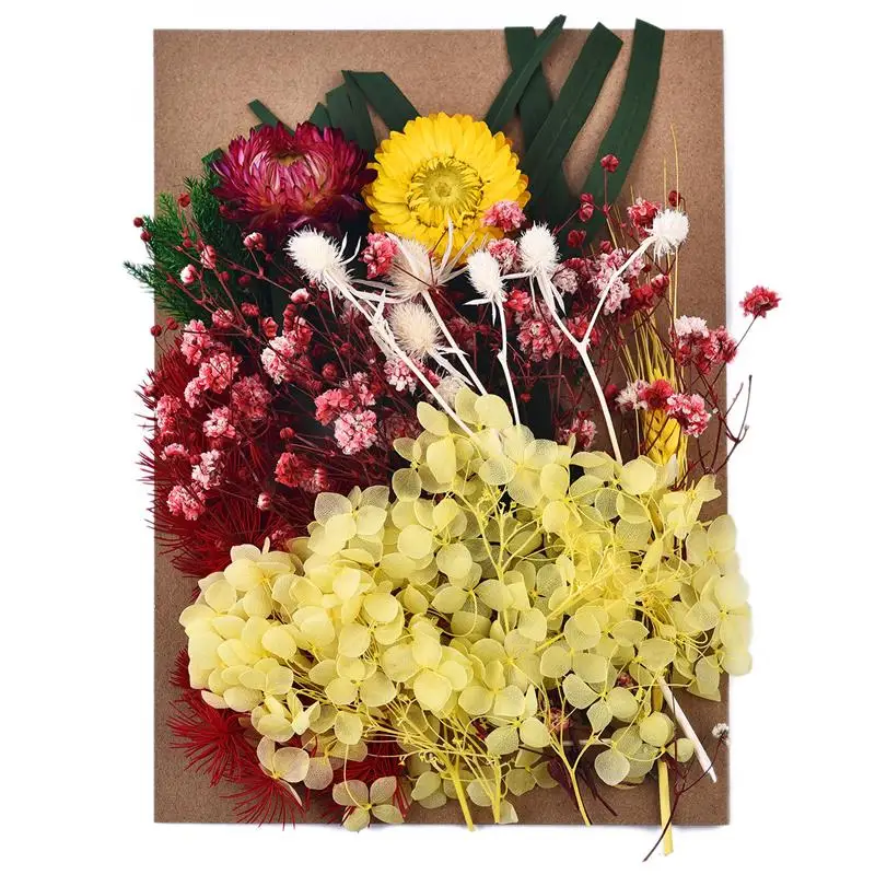 DIY Dried Flower for Resin Mold Making Real Flower for Resin Fillings Nail Art Home Craft Resin Casting Mold Making Tools 