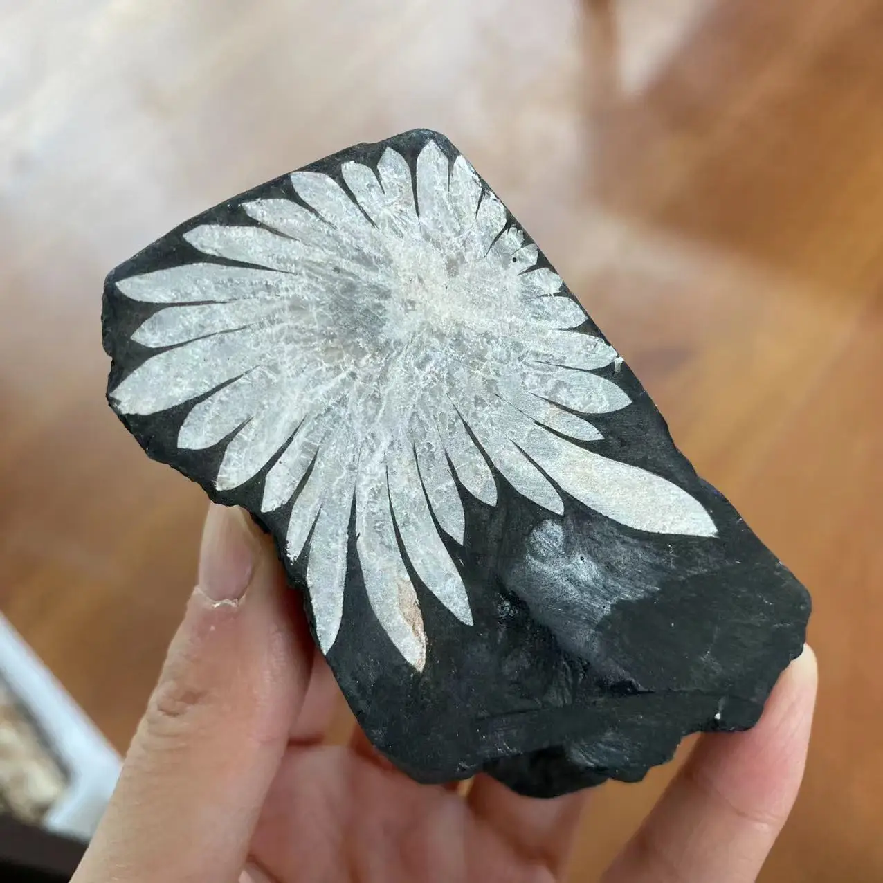 

Natural chrysanthemum stone crystal quartz energy gem healing gift room decoration