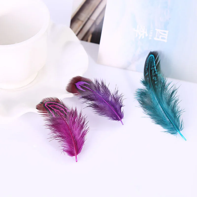 

4-8cm Rare Precious DIY Wedding Party Decorative Multi-colour Pheasant Plume Feather Natural Feathers for Home Decor 50Pcs
