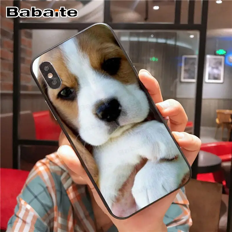 Для iphone 11pro max Beagle Dog силиконовый чехол черный мягкий чехол для телефона для iphone 6S 6plus 7plus 8 8Plus X Xs MAX 5 5S XR - Цвет: A15