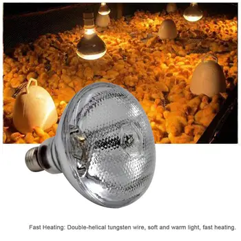 

Pets Tortoise Turtle Heating Lamp Light Sunlamps Emitter Basking Reptile High-intensity Lights 250W Heated Infrared Flood Light