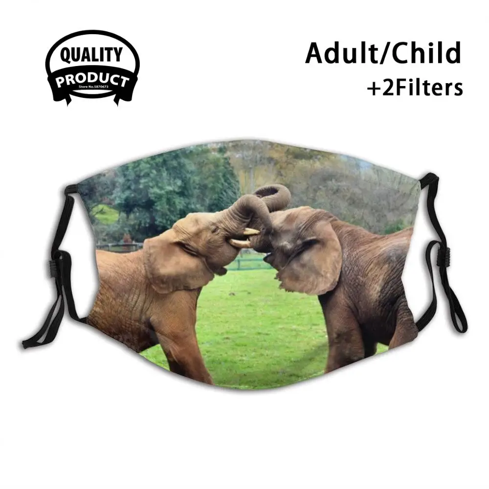 

Bickering Reusable Mouth Mask Filter For Men Women Kids Moneypenny Missmoneypenny Elephant Sanctuary Cabarceno Spain Trunk