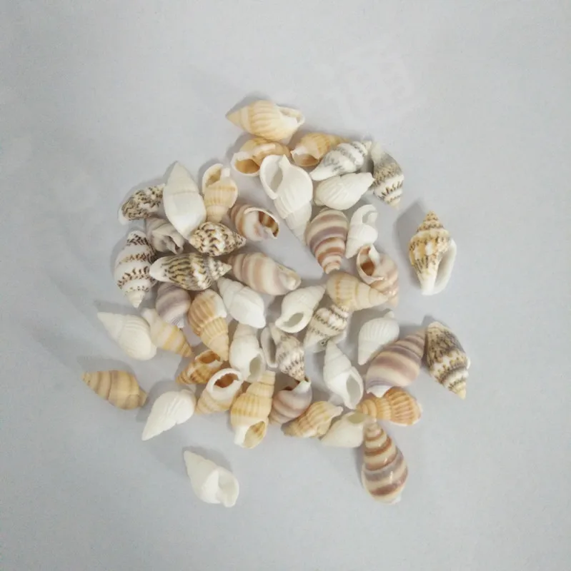 40 шт. красивые пляжные разные морские ракушки настоящие рыбы крафтовые