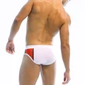 Image 4