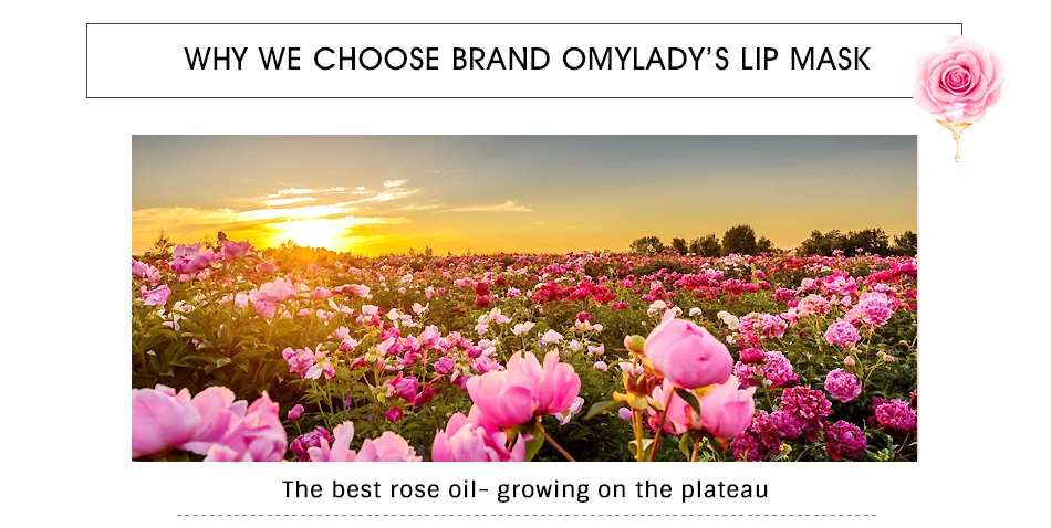 OMY LADY Lip Gel Mask Care Hydrating Repair Blemishes Lighten Lip Line Collagen Mask Lip Color Remove Lines