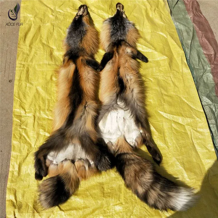 fox Skin01