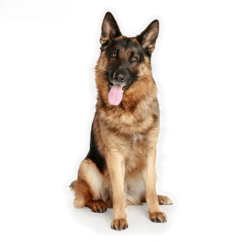 Creative Animal Funny Car Styling German Shepherd Colorful Car Sticker Funny  Stickers Styling Removable Decal Kk15*6cm