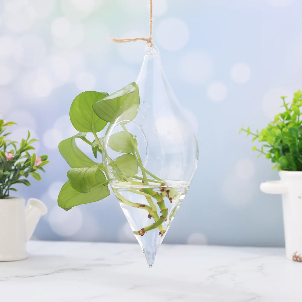 Hanging Glass Vase Hanging Terrarium Hydroponic Clear Container Indoor Office
