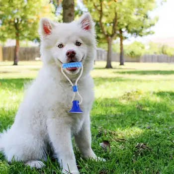 

Pet Interactive Suction Cup Toy Dog Chewing Toy Pet Molar Bite Toy for Pet Dog Blue