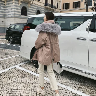 

2018 Winter New Style Hooded Large Fur Collar Waist Hugging Drawstring Cotton-padded Clothes Women's Korean-style Loose-Fit Soli